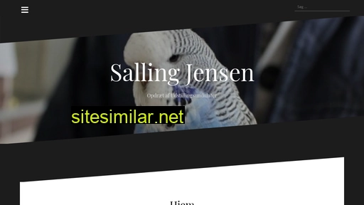 salling-jensen.dk alternative sites