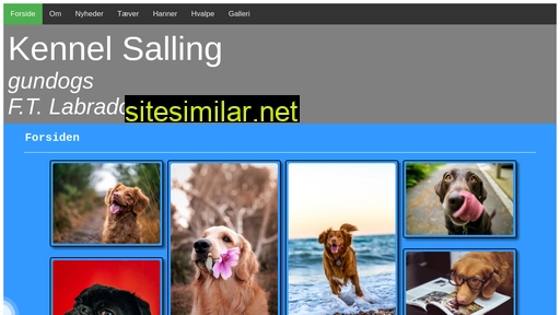 sallinggundogs.dk alternative sites