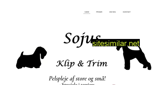 salon-sojus.dk alternative sites