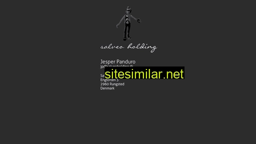 salveoholding.dk alternative sites