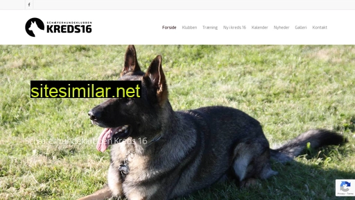 schaeferhundkreds16.dk alternative sites