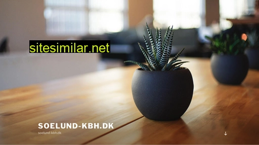 soelund-kbh.dk alternative sites