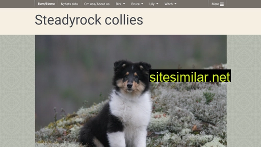 Steadyrock similar sites