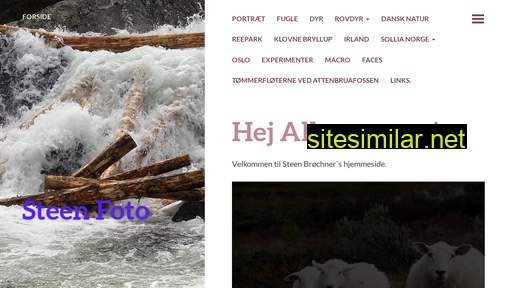 steenfoto.dk alternative sites