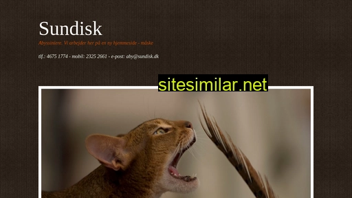 sundisk.dk alternative sites
