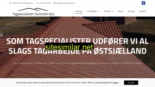 tagspecialistendanmark.dk alternative sites