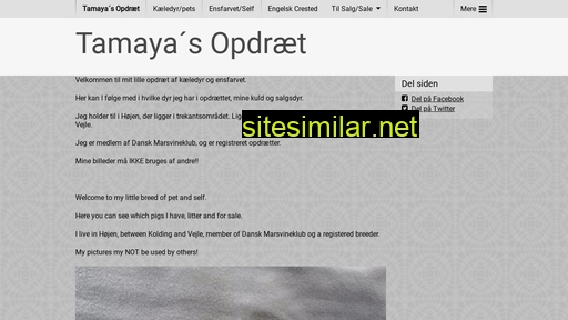 tamayas.dk alternative sites