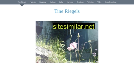 tineriegels.dk alternative sites