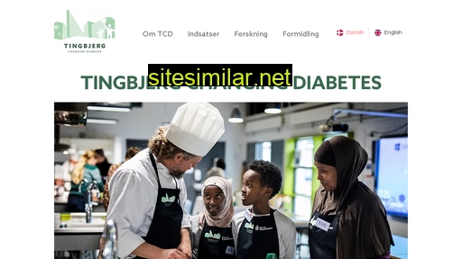 tingbjergchangingdiabetes.dk alternative sites