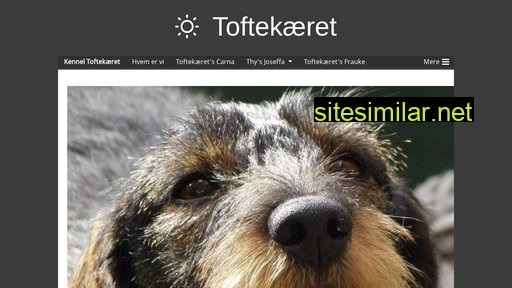 toftekaeret.dk alternative sites