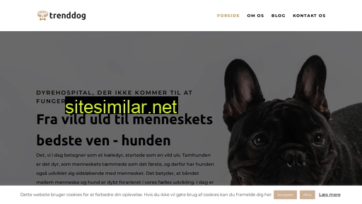 trenddog.dk alternative sites
