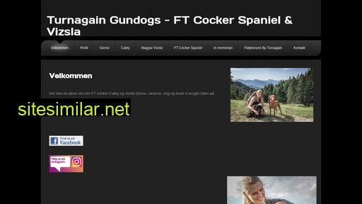 turnagain.dk alternative sites