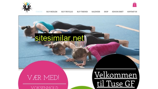 tusegf.dk alternative sites
