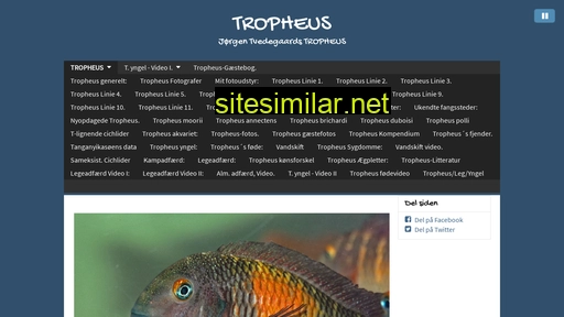 Tvedegaard-tropheus-tanganyika similar sites