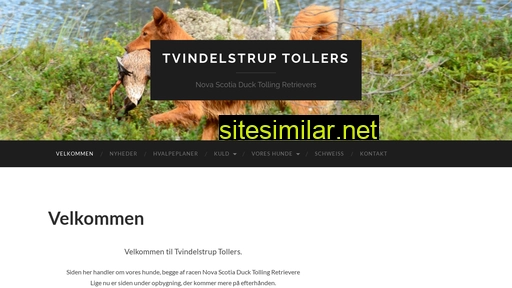 tvindelstrup-tollers.dk alternative sites
