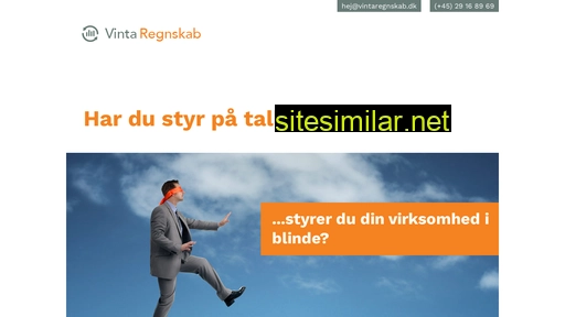 vintaregnskab.dk alternative sites