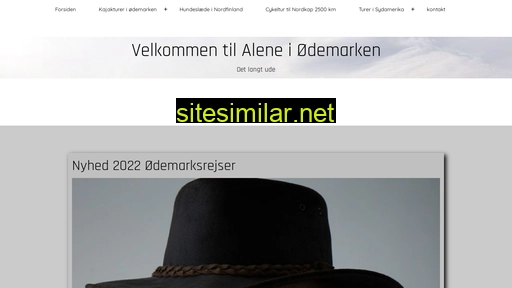 aleneiødemarken.dk alternative sites