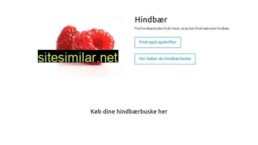 hindbær.dk alternative sites