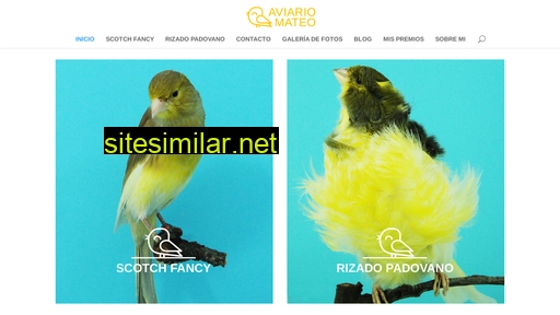 aviariomateo.es alternative sites