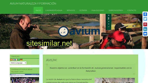 avium.es alternative sites
