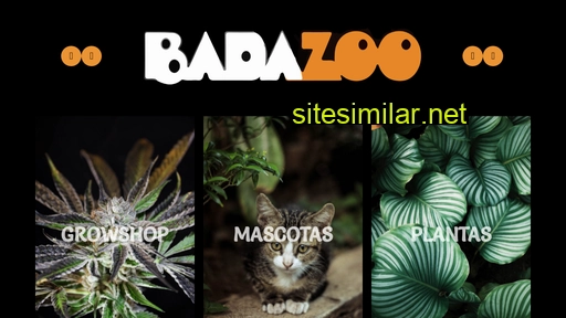 Badazoo similar sites