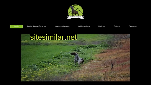 bracosalemanes.es alternative sites