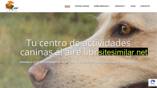 breocan.es alternative sites