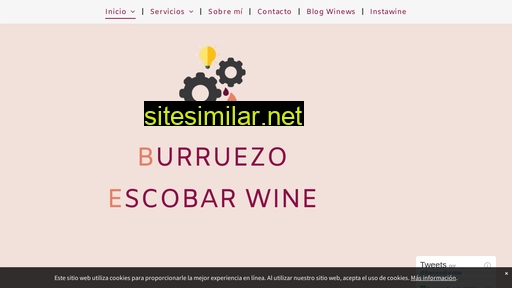 burruezoescobarwine.es alternative sites