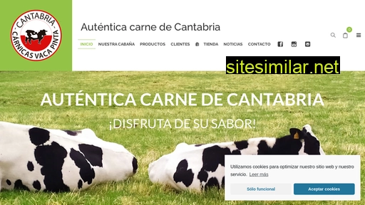 carnicasvacapinta.es alternative sites