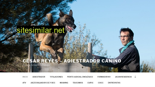 cesarreyes-adiestradorcanino.es alternative sites