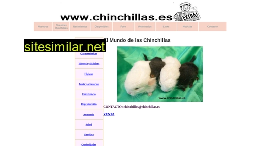 chinchillas.es alternative sites