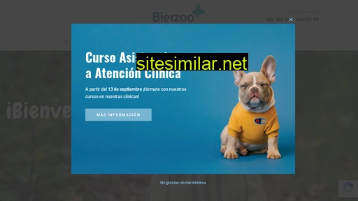 clinicasbierzoo.es alternative sites