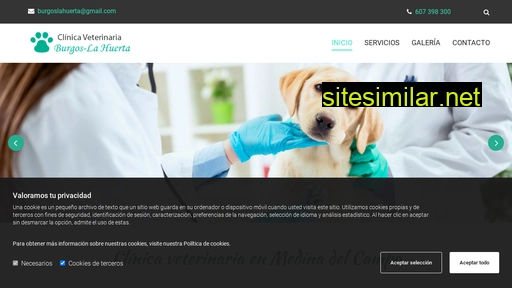 clinicaveterinariaburgoslahuerta.es alternative sites
