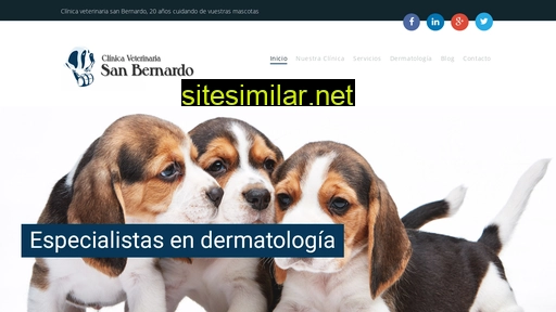 clinicaveterinariasanbernardo.es alternative sites