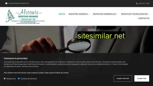 detectivesalicante.es alternative sites