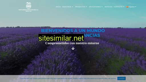 dmg.es alternative sites