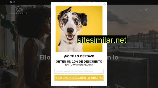dogpalace.es alternative sites