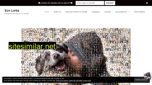 dogtour.es alternative sites