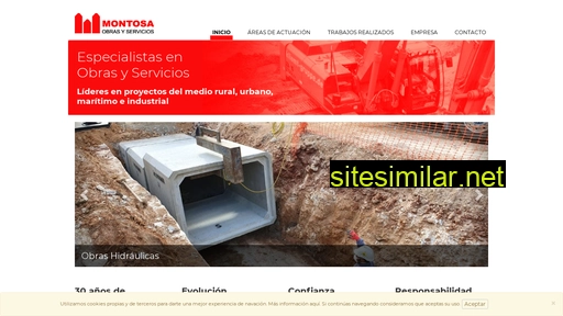 excvmontosa.es alternative sites
