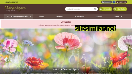 floristeriamandragora.es alternative sites