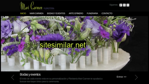 floristeriamaricarmen.es alternative sites
