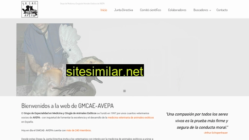 gmcae.es alternative sites