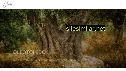 grupo-oleotoledo.es alternative sites