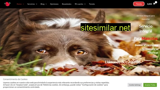 hundcompany.es alternative sites