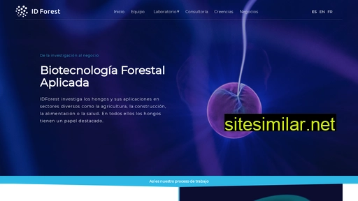 idforest.es alternative sites