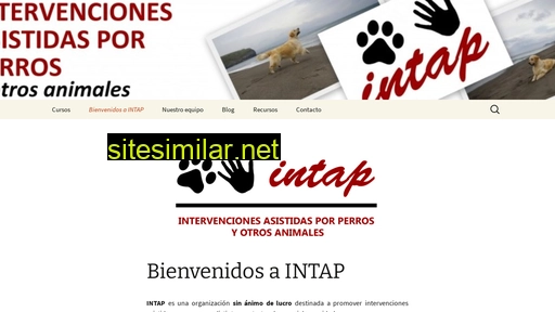 intap.es alternative sites