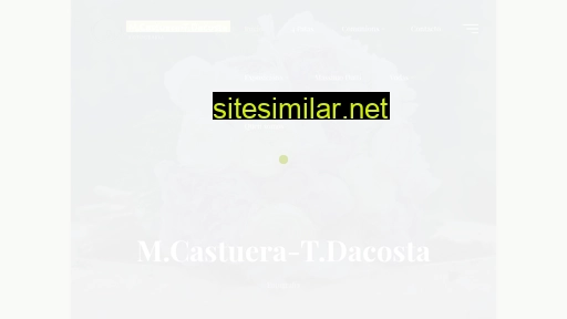 monicacastuera-txikidacosta.es alternative sites