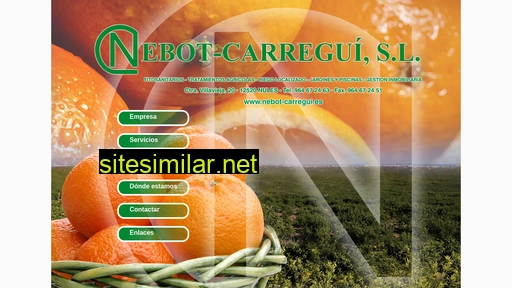 nebot-carregui.es alternative sites