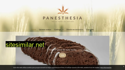panesthesia.es alternative sites