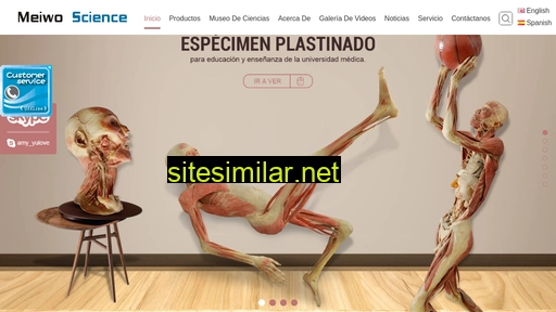 plastinationspecimen.es alternative sites